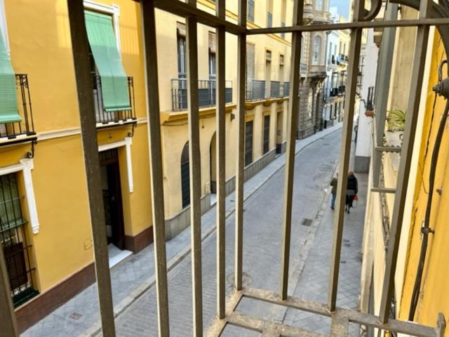 Ti1 Estiloso Loft 120m De La Catedral Tomas De Ibarra Street Apartament *